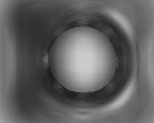 X0000101700190200807171522