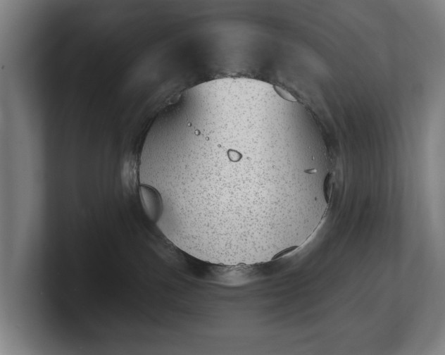 X0000101700191200807171522