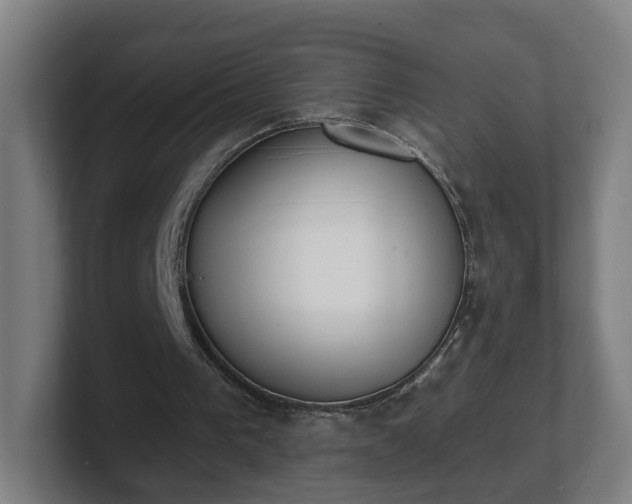 X0000101700193200807171522