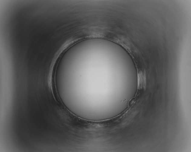 X0000101700195200807171522