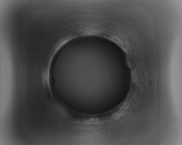 X0000101700196200807171522