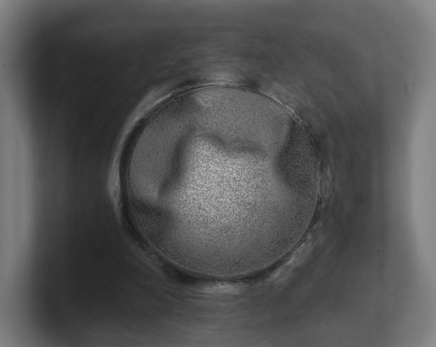 X0000101700198200807171522