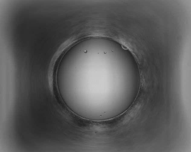 X0000101700199200807171522