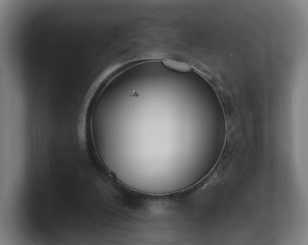 X0000101700200200807171522