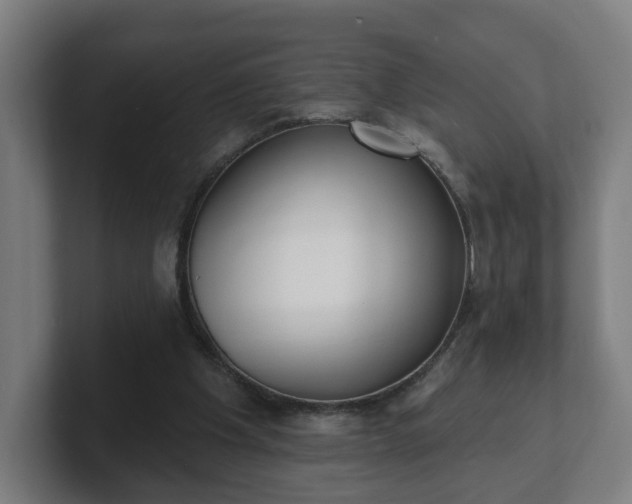 X0000101700201200807171522