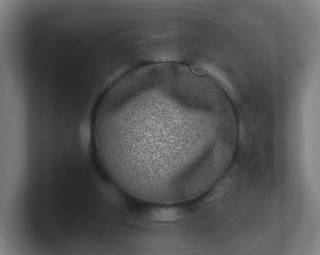 X0000101700202200807171522