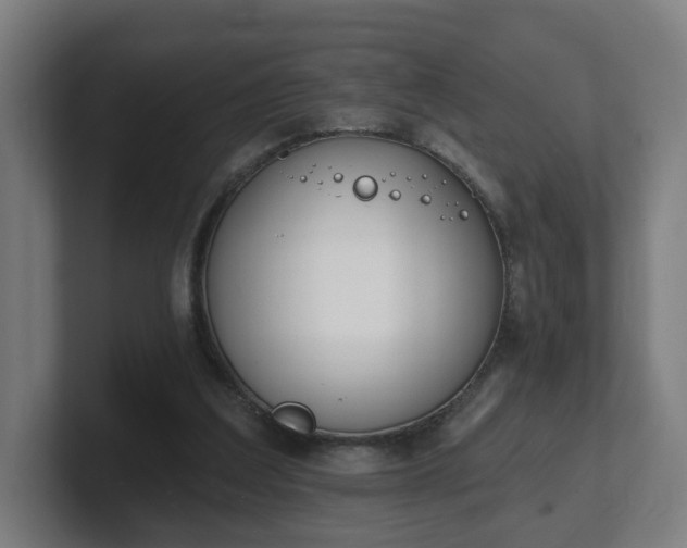 X0000101700203200807171522