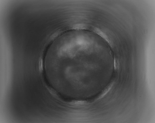 X0000101700205200807171522