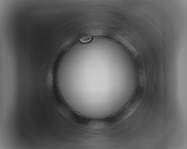 X0000101700207200807171522