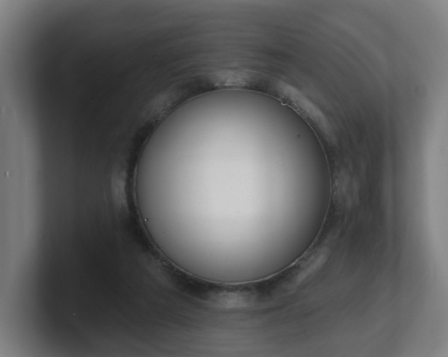 X0000101700209200807171522