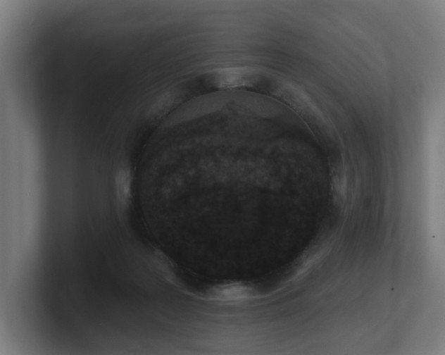 X0000101700219200807171521