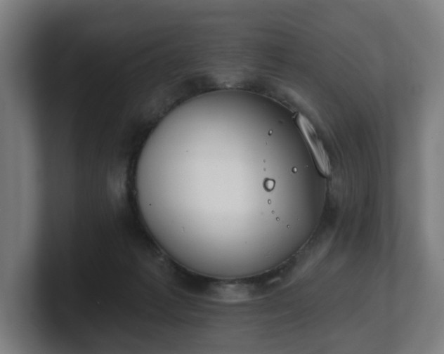 X0000101700221200807171521