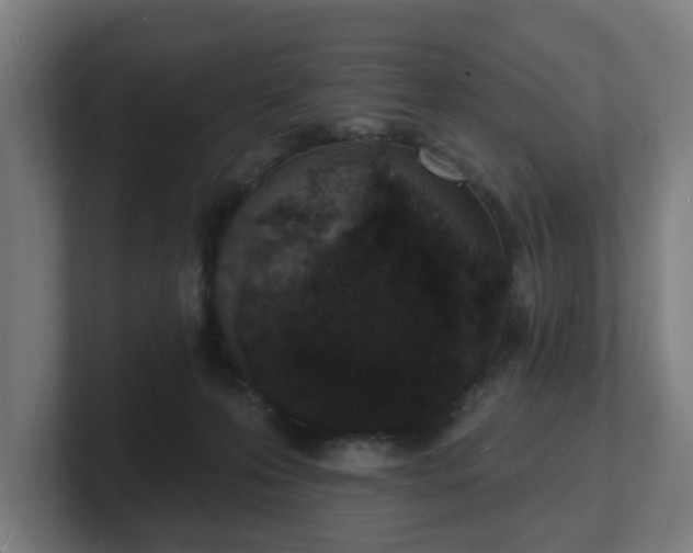 X0000101700223200807171521