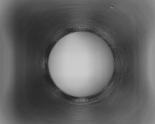 X0000101700225200807171521