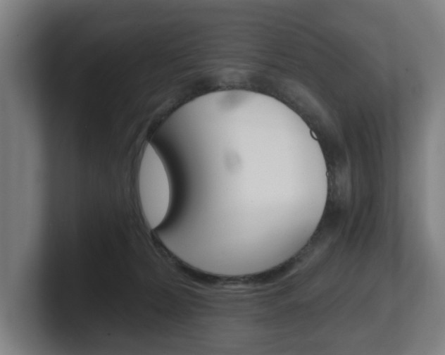 X0000101700228200807171521