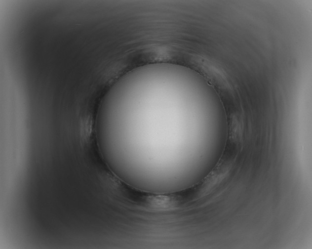 X0000101700230200807171521