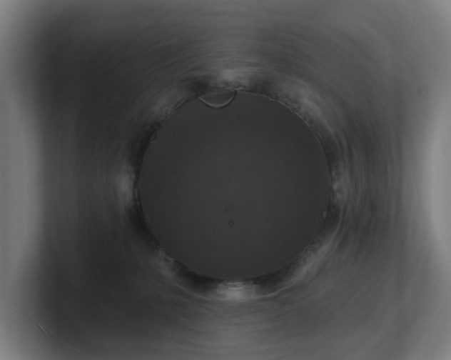 X0000101700231200807171521