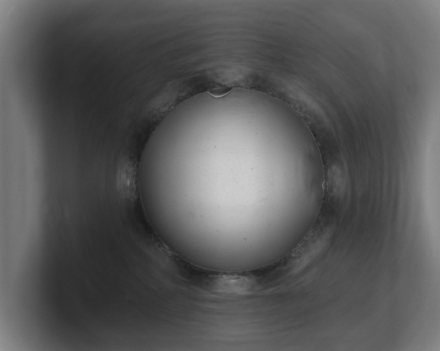 X0000101700234200807171521