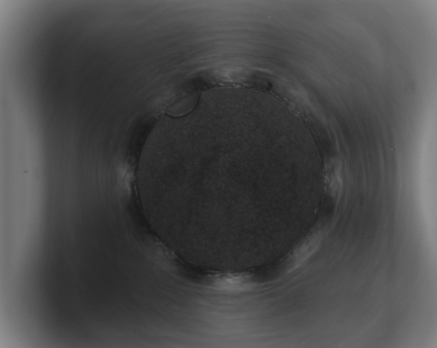 X0000101700235200807171521