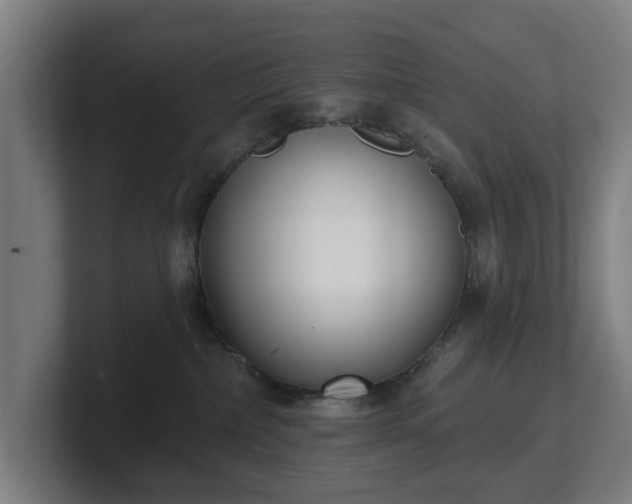 X0000101700236200807171521