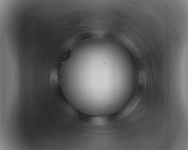 X0000101700238200807171521