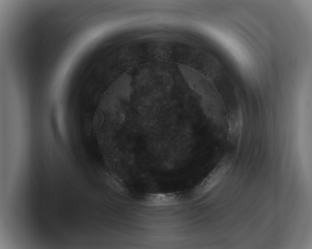 X0000101700239200807171521