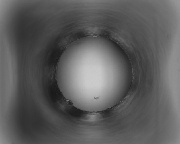 X0000101700240200807171521