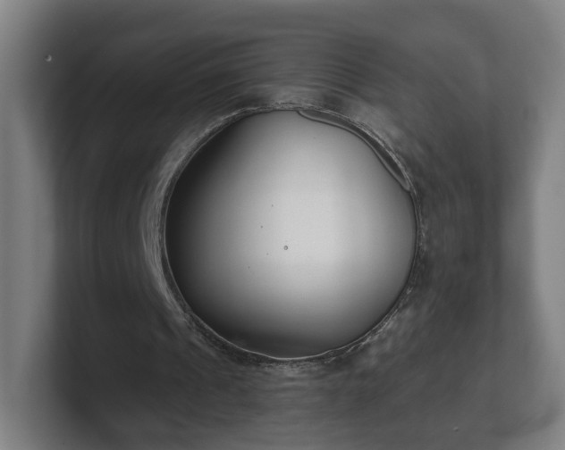 X0000101700241200807171520