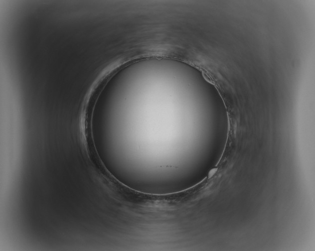 X0000101700244200807171520