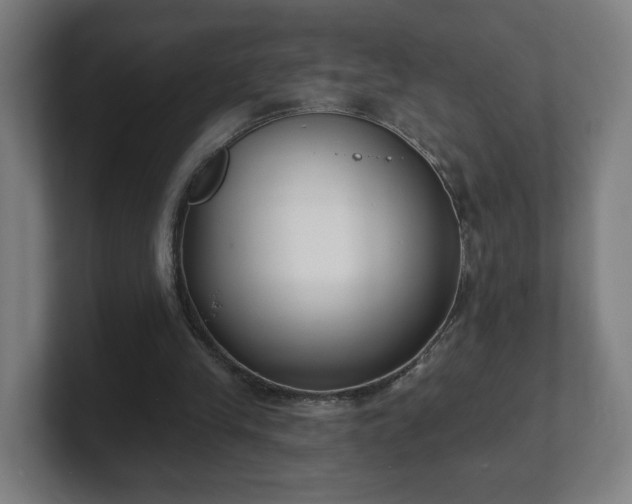 X0000101700245200807171520