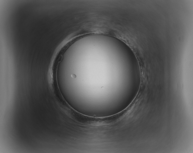 X0000101700246200807171520