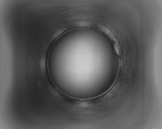 X0000101700249200807171521