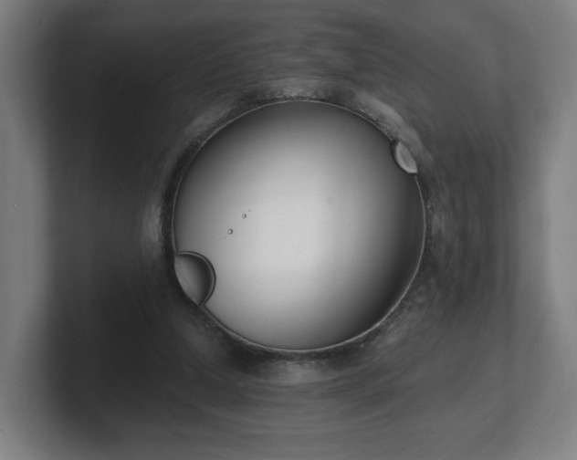 X0000101700250200807171521