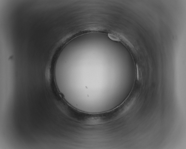 X0000101700252200807171521