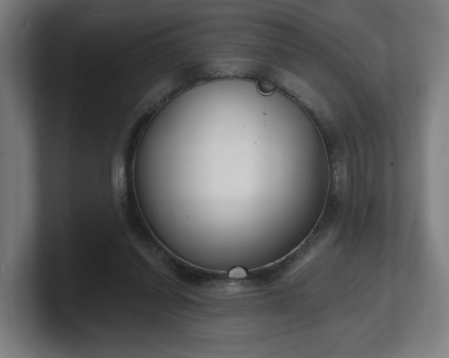 X0000101700254200807171521