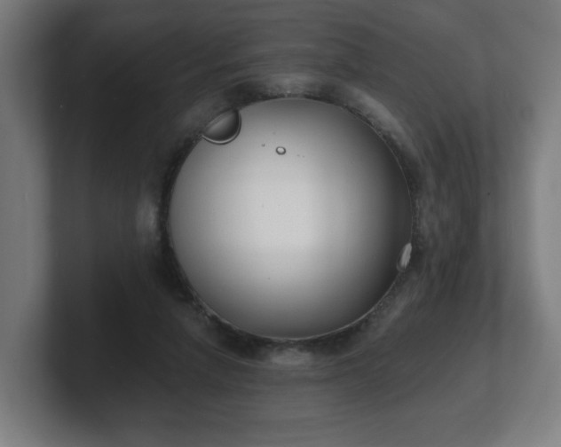 X0000101700258200807171521