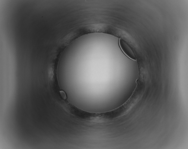 X0000101700259200807171521