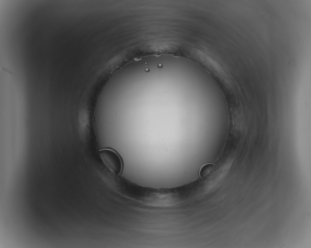 X0000101700260200807171521