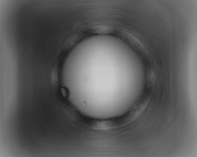 X0000101700268200807171521