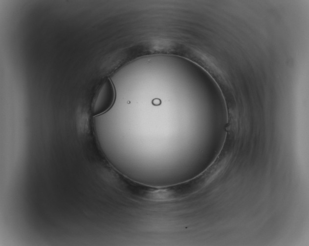 X0000101700269200807171521