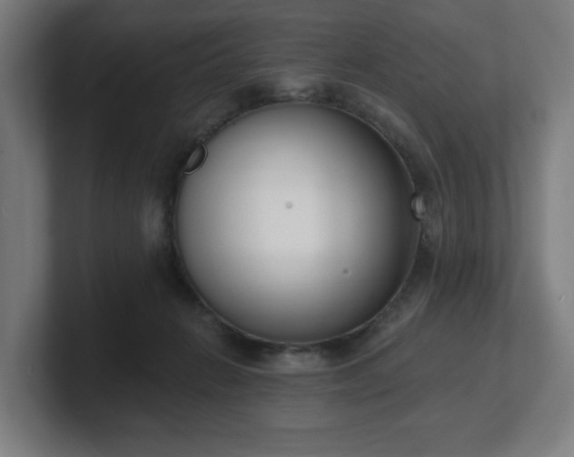 X0000101700270200807171521