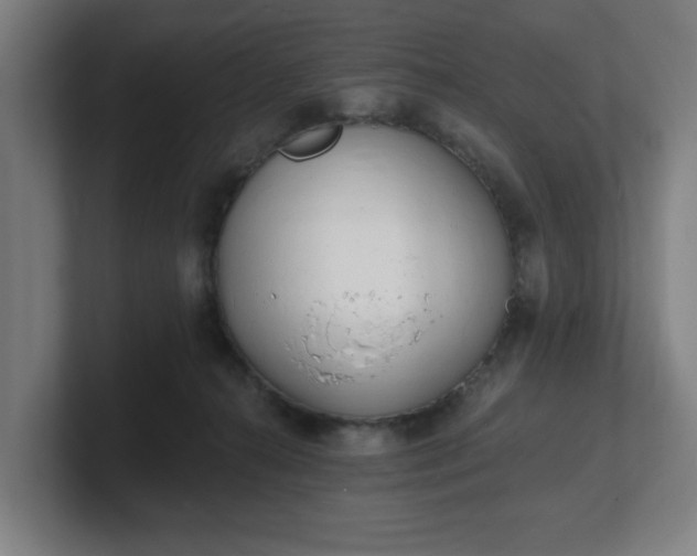 X0000101700272200807171521