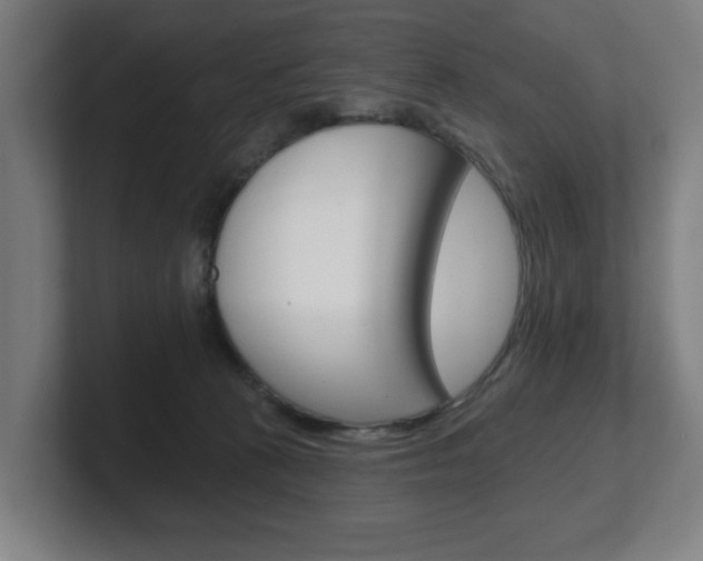 X0000101700273200807171521