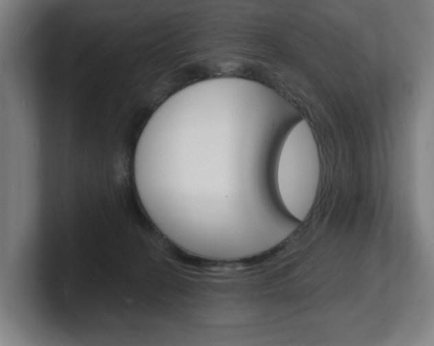 X0000101700274200807171521