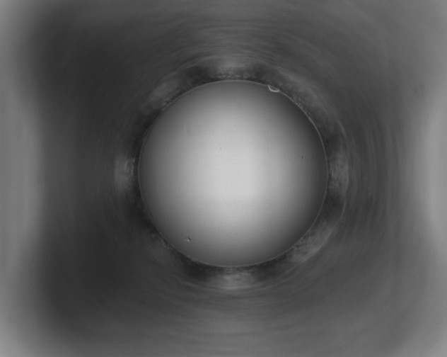 X0000101700278200807171521