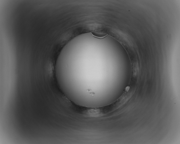 X0000101700279200807171521