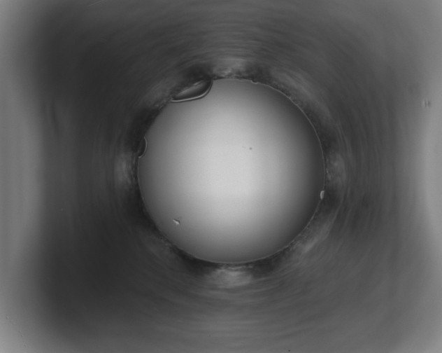 X0000101700280200807171521