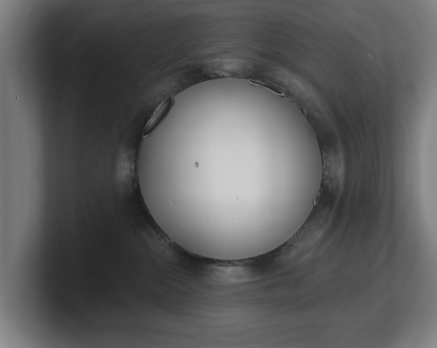 X0000101700284200807171521