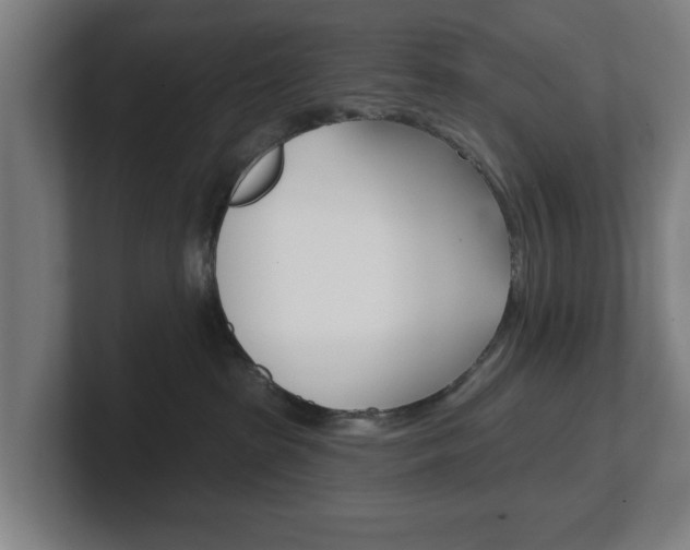 X0000101700285200807171521