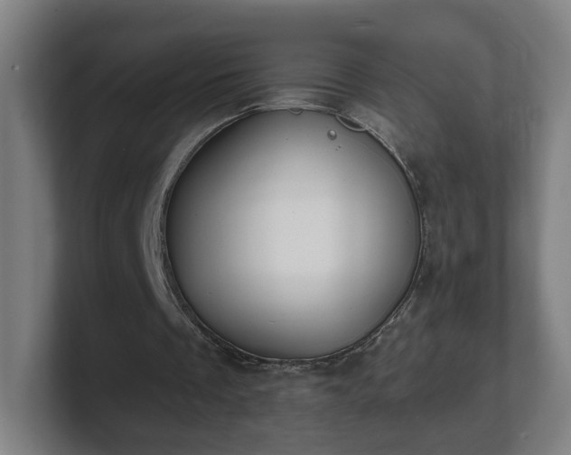 X0000101700289200807171520